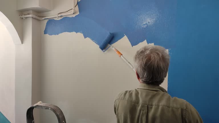 Best Residential Painting  in Schaumburg, IL